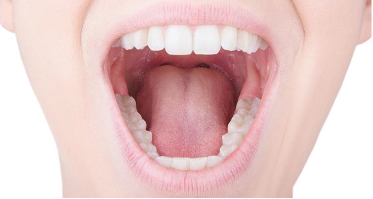 La salud bucal es importante Se muestra una boca abierta, con dientes lengua.